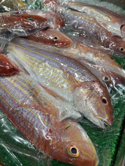 こんにちは。
今日から三連休です🐟
⁡
リニューアル致しました、うおざは連日営業しております！
たくさんの商品、市場ならではの鮮魚。
⁡
是非お立ち寄りください🙂
⁡
#トラフグ の
⁡
年末のお客様注文を承ります。
詳しくはスタッフまで☺️⸝⸝